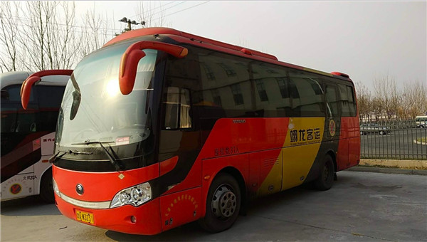 天津班车(图1)