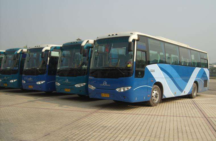 班车租赁公司：租车时需要注意哪些保险问题(图2)